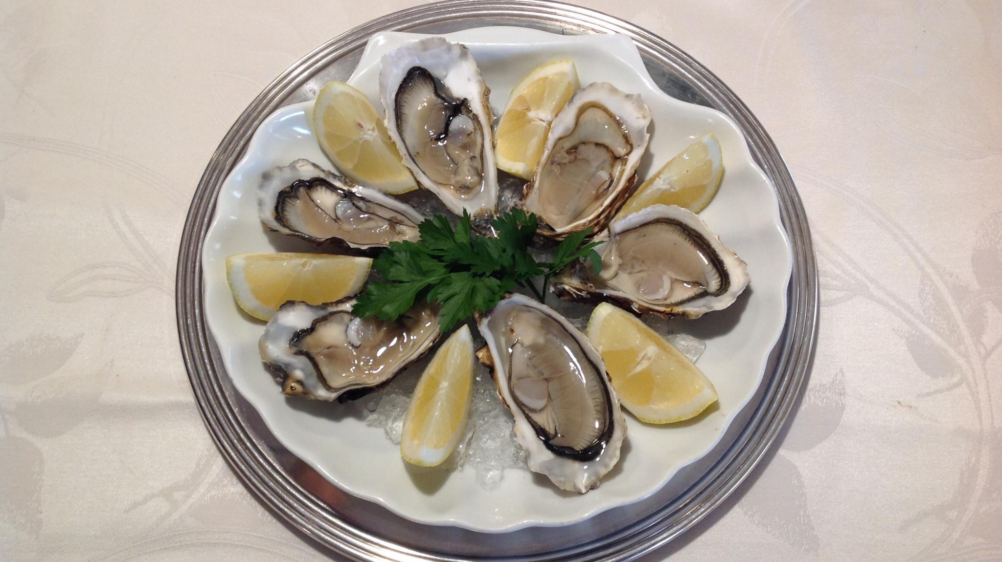 Roof Garden Hotel Forum, Rome Official site